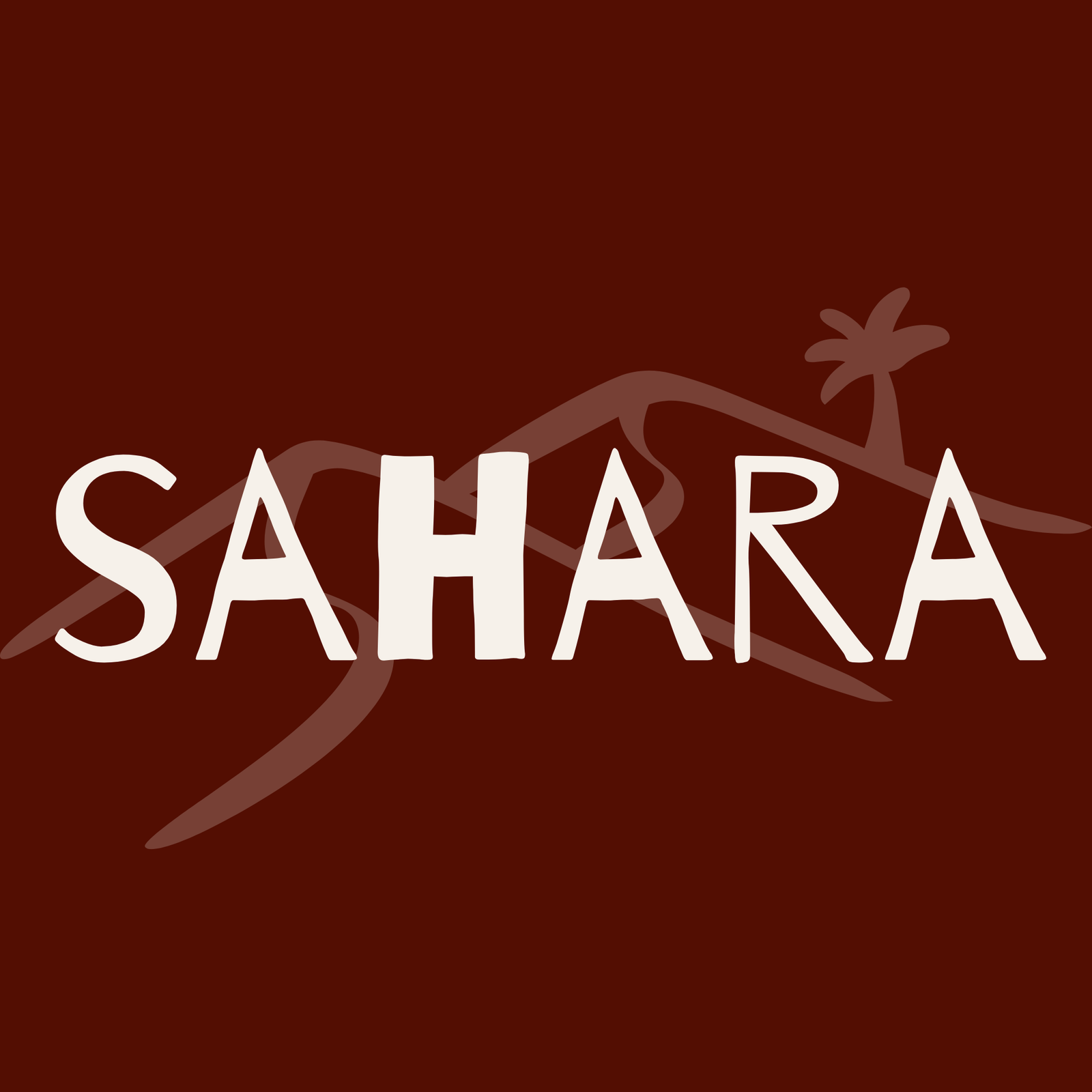 The Sahara Experience